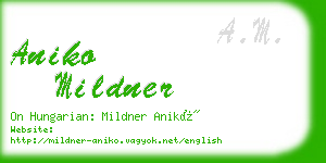 aniko mildner business card